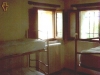 image11