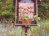 image12