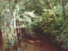 image13
