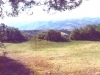 image9